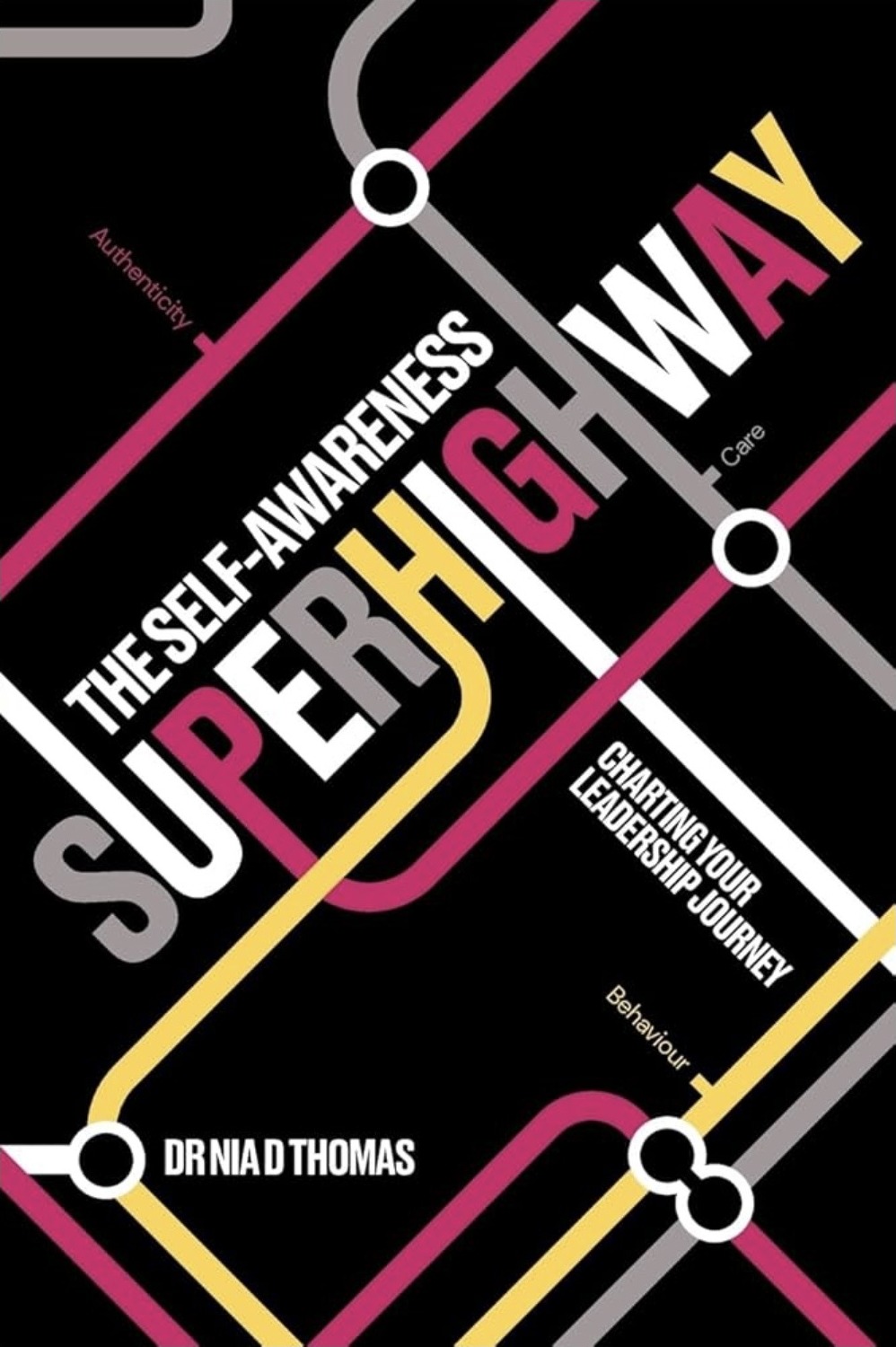 The Self-Awareness Superhighway book cover